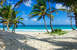 Caribbean
